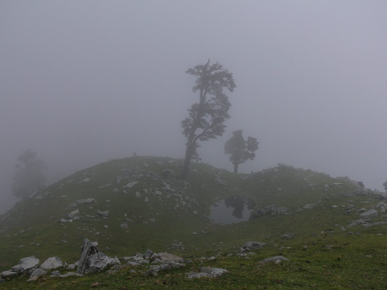 While on a hike I was suprised by rain and thick fog. Exploring the calm peaks close to McLeodGanj is something I would recommend everybody when visiting India.